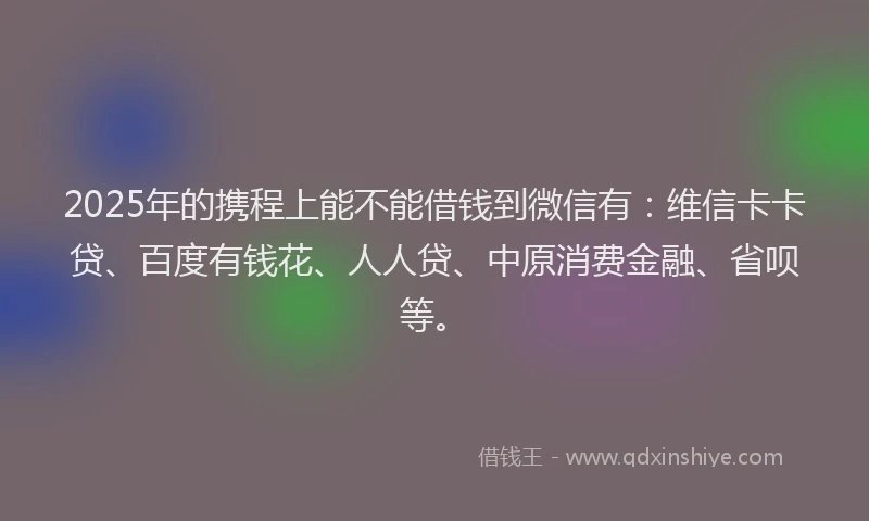 2025年的携程上能不能借钱到微信有：维信卡卡贷、百度有钱花、人人贷、中原消费金融、省呗等。