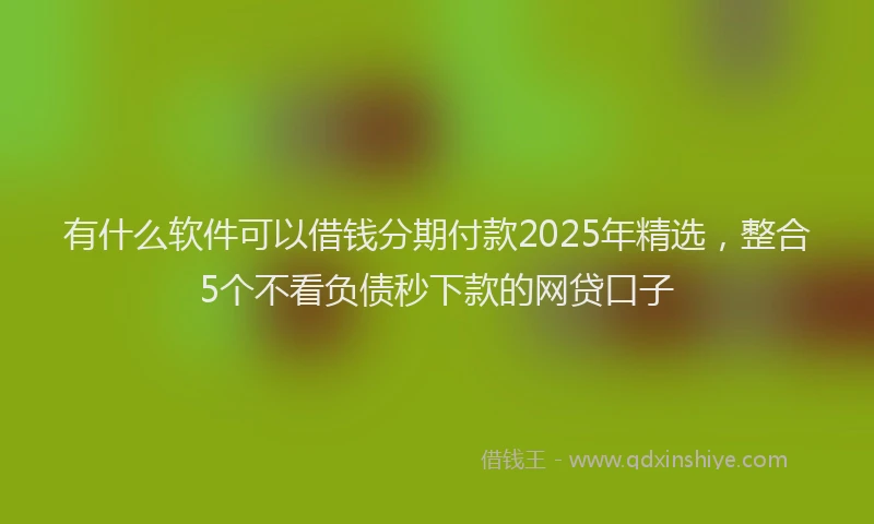 有什么软件可以借钱分期付款2025年精选，整合5个不看负债秒下款的网贷口子
