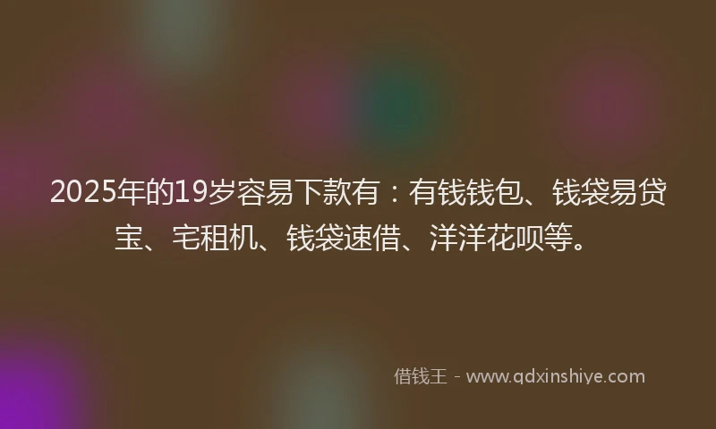 2025年的19岁容易下款有：有钱钱包、钱袋易贷宝、宅租机、钱袋速借、洋洋花呗等。