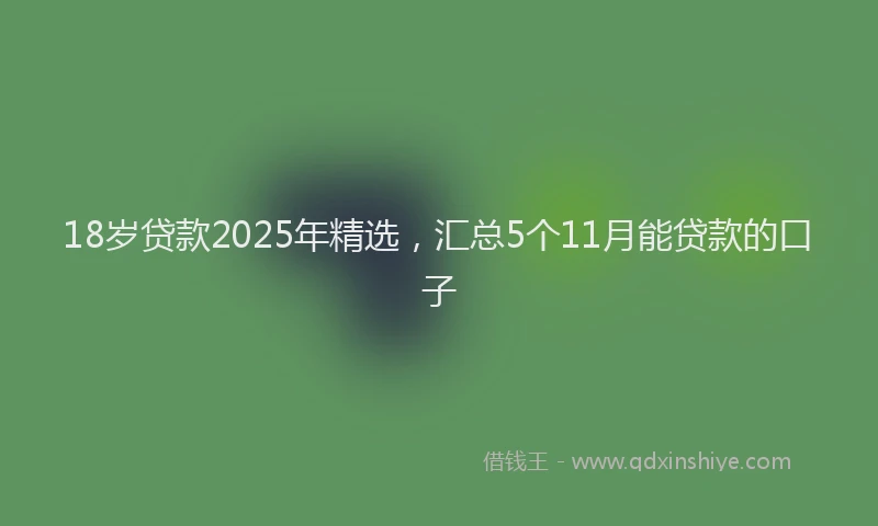 18岁贷款2025年精选，汇总5个11月能贷款的口子