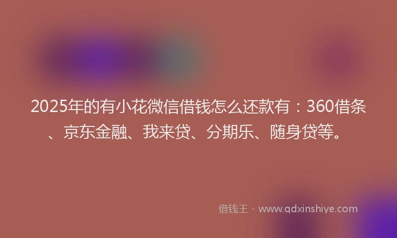 2025年的有小花微信借钱怎么还款有：360借条、京东金融、我来贷、分期乐、随身贷等。