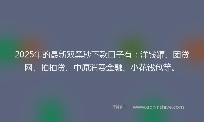 2025年的最新双黑秒下款口子有：洋钱罐、团贷网、拍拍贷、中原消费金融、小花钱包等。