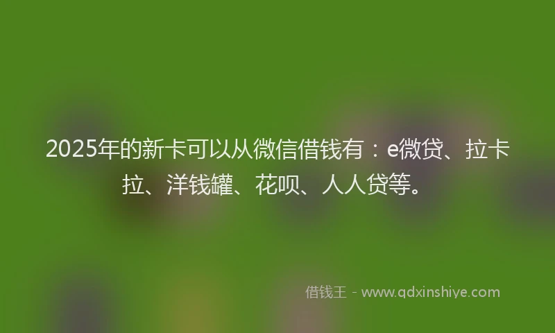2025年的新卡可以从微信借钱有：e微贷、拉卡拉、洋钱罐、花呗、人人贷等。