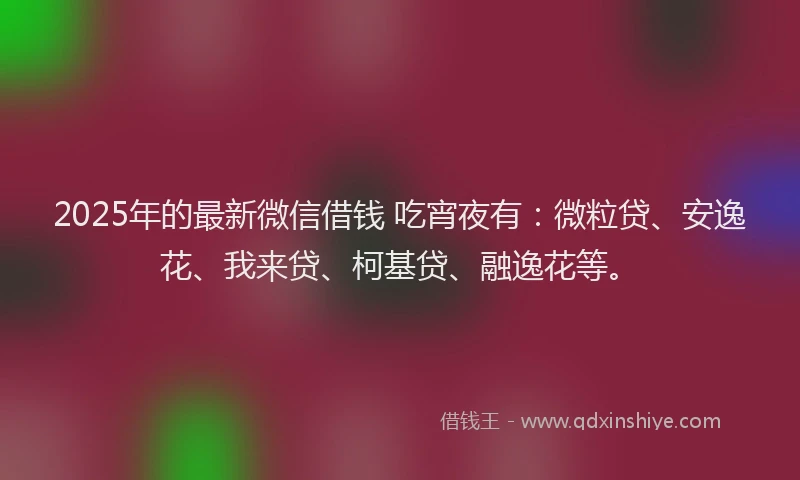 2025年的最新微信借钱 吃宵夜有：微粒贷、安逸花、我来贷、柯基贷、融逸花等。