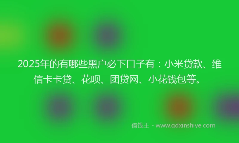 2025年的有哪些黑户必下口子有：小米贷款、维信卡卡贷、花呗、团贷网、小花钱包等。