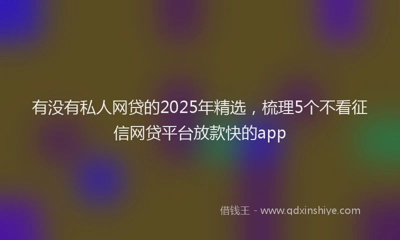 有没有私人网贷的2025年精选，梳理5个不看征信网贷平台放款快的app