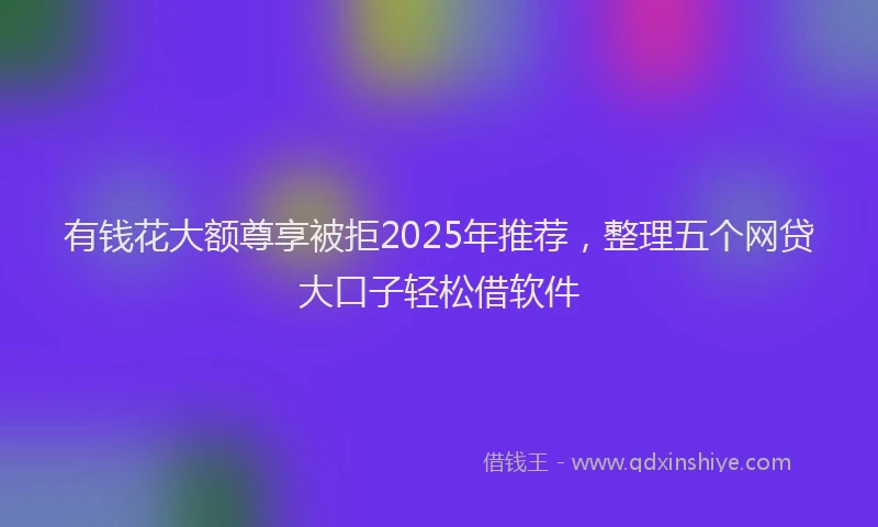 有钱花大额尊享被拒2025年推荐，整理五个网贷大口子轻松借软件
