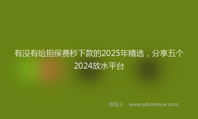 有没有给担保费秒下款的2025年精选，分享五个2024放水平台