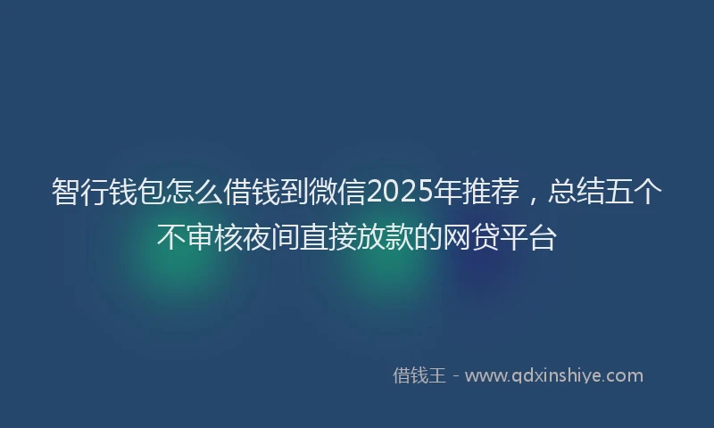 智行钱包怎么借钱到微信2025年推荐，总结五个不审核夜间直接放款的网贷平台
