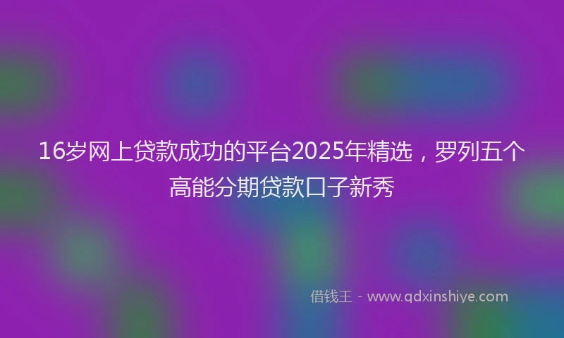 16岁网上贷款成功的平台2025年精选，罗列五个高能分期贷款口子新秀