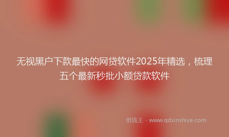 无视黑户下款最快的网贷软件2025年精选，梳理五个最新秒批小额贷款软件