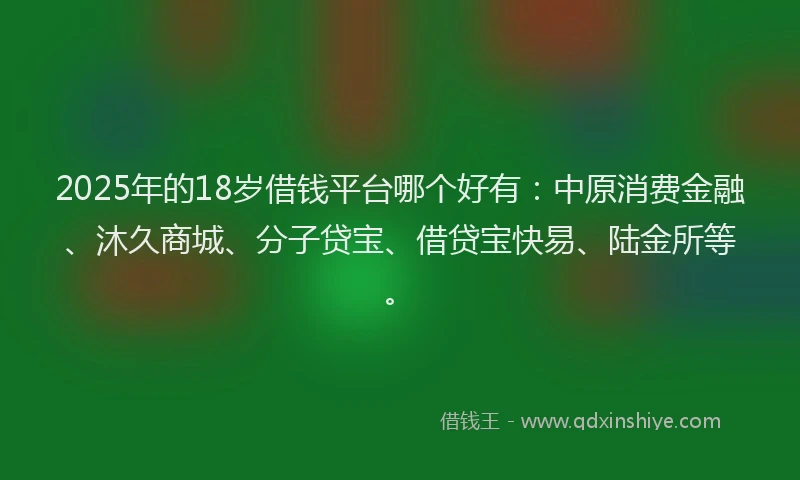 2025年的18岁借钱平台哪个好有：中原消费金融、沐久商城、分子贷宝、借贷宝快易、陆金所等。