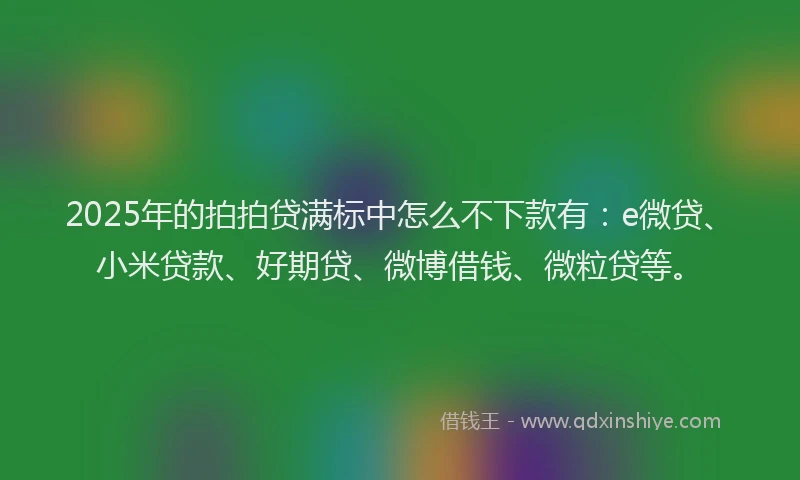 2025年的拍拍贷满标中怎么不下款有：e微贷、小米贷款、好期贷、微博借钱、微粒贷等。