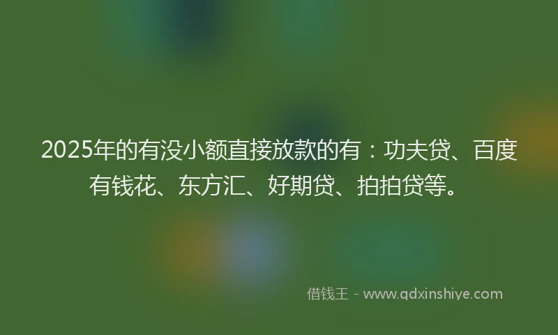 2025年的有没小额直接放款的有：功夫贷、百度有钱花、东方汇、好期贷、拍拍贷等。
