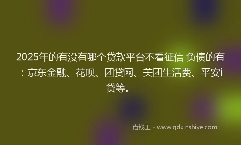 2025年的有没有哪个贷款平台不看征信 负债的有：京东金融、花呗、团贷网、美团生活费、平安i贷等。