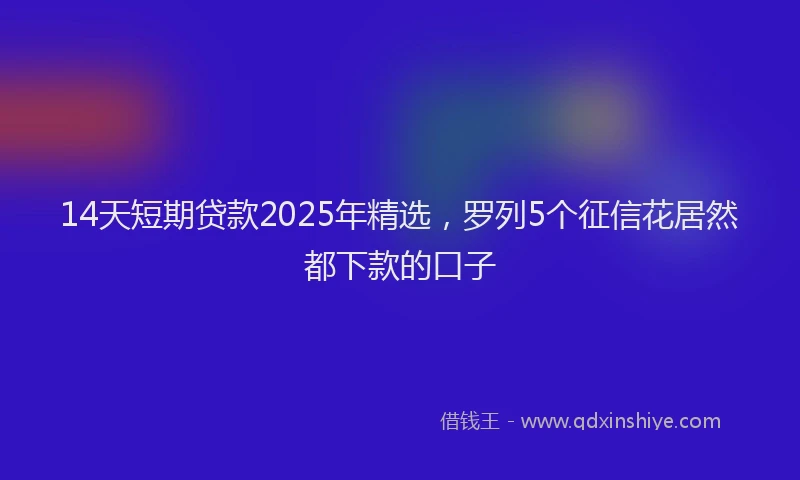 14天短期贷款2025年精选，罗列5个征信花居然都下款的口子