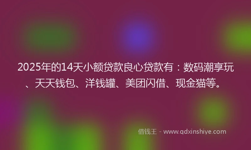2025年的14天小额贷款良心贷款有：数码潮享玩、天天钱包、洋钱罐、美团闪借、现金猫等。