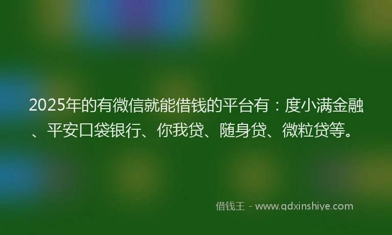 2025年的有微信就能借钱的平台有：度小满金融、平安口袋银行、你我贷、随身贷、微粒贷等。