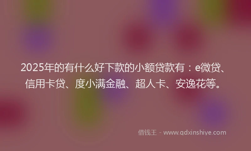 2025年的有什么好下款的小额贷款有：e微贷、信用卡贷、度小满金融、超人卡、安逸花等。