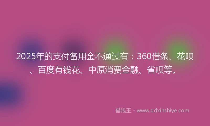 2025年的支付备用金不通过有：360借条、花呗、百度有钱花、中原消费金融、省呗等。