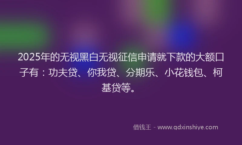 2025年的无视黑白无视征信申请就下款的大额口子有：功夫贷、你我贷、分期乐、小花钱包、柯基贷等。