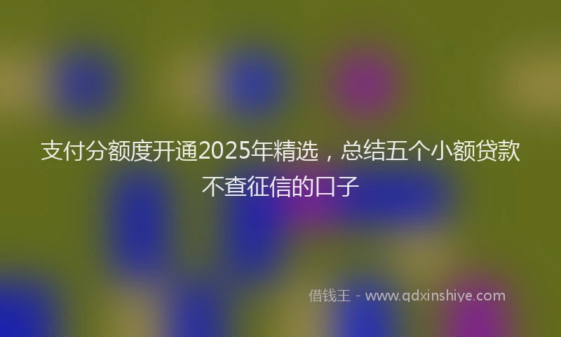 支付分额度开通2025年精选，总结五个小额贷款不查征信的口子