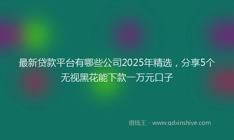 最新贷款平台有哪些公司2025年精选，分享5个无视黑花能下款一万元口子