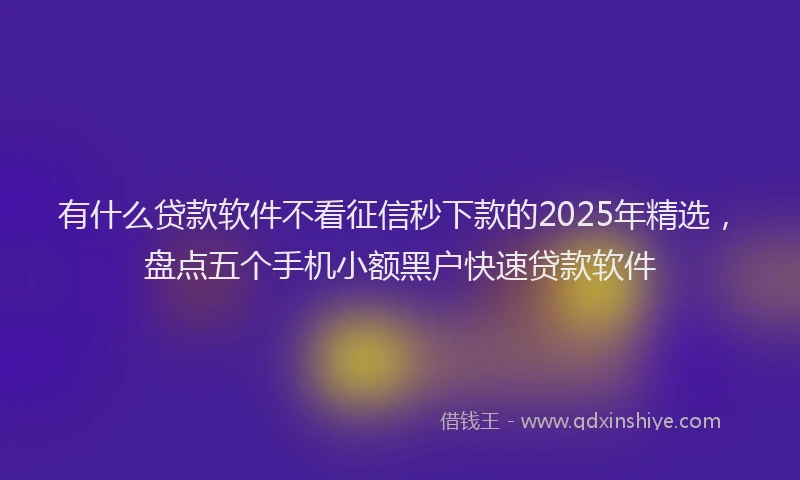 有什么贷款软件不看征信秒下款的2025年精选，盘点五个手机小额黑户快速贷款软件