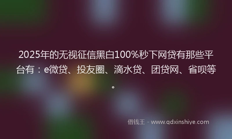 2025年的无视征信黑白100%秒下网贷有那些平台有：e微贷、投友圈、滴水贷、团贷网、省呗等。
