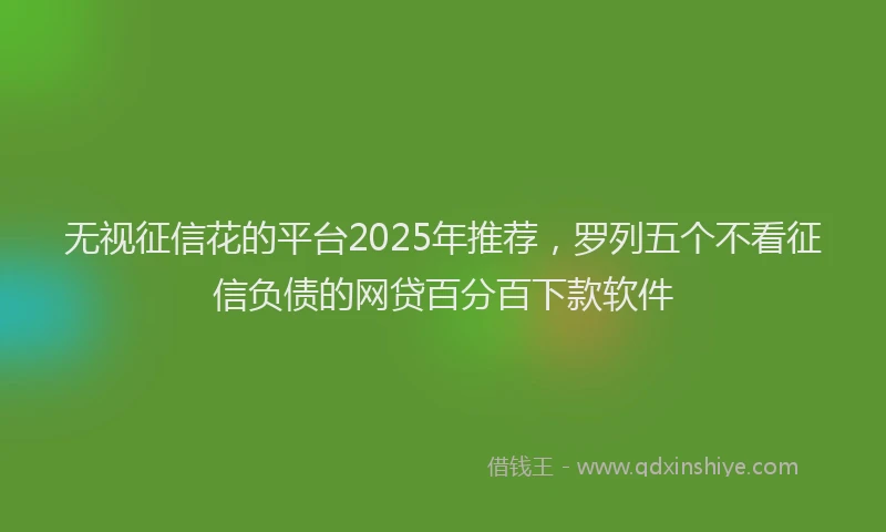 无视征信花的平台2025年推荐，罗列五个不看征信负债的网贷百分百下款软件