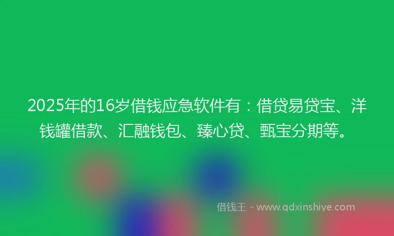 2025年的16岁借钱应急软件有:借贷易贷宝、洋钱罐借款、汇融钱包、臻心贷、甄宝分期等。
