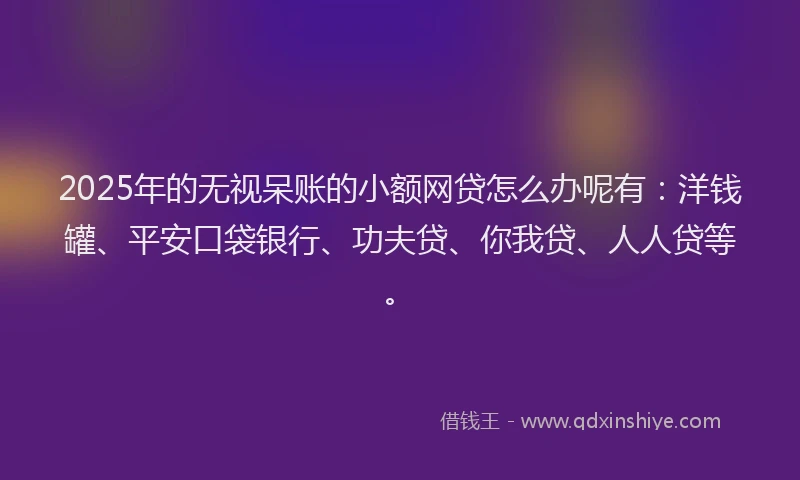 2025年的无视呆账的小额网贷怎么办呢有：洋钱罐、平安口袋银行、功夫贷、你我贷、人人贷等。