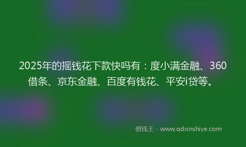 2025年的摇钱花下款快吗有：度小满金融、360借条、京东金融、百度有钱花、平安i贷等。