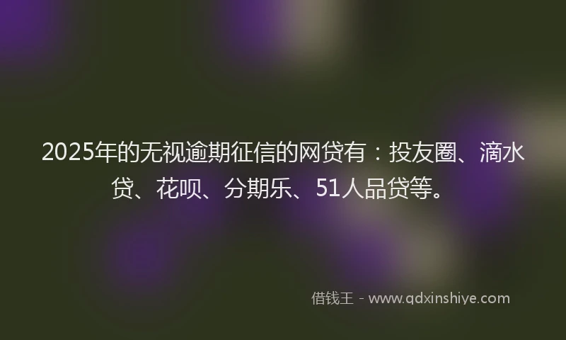 2025年的无视逾期征信的网贷有：投友圈、滴水贷、花呗、分期乐、51人品贷等。