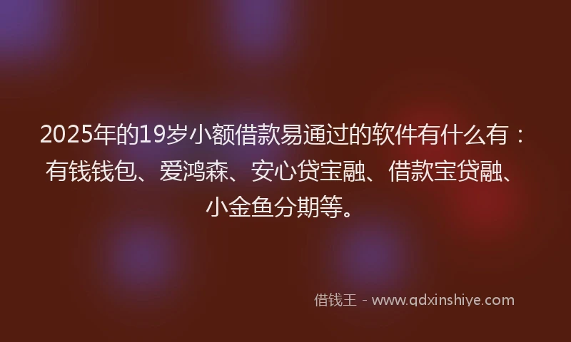 2025年的19岁小额借款易通过的软件有什么有：有钱钱包、爱鸿森、安心贷宝融、借款宝贷融、小金鱼分期等。