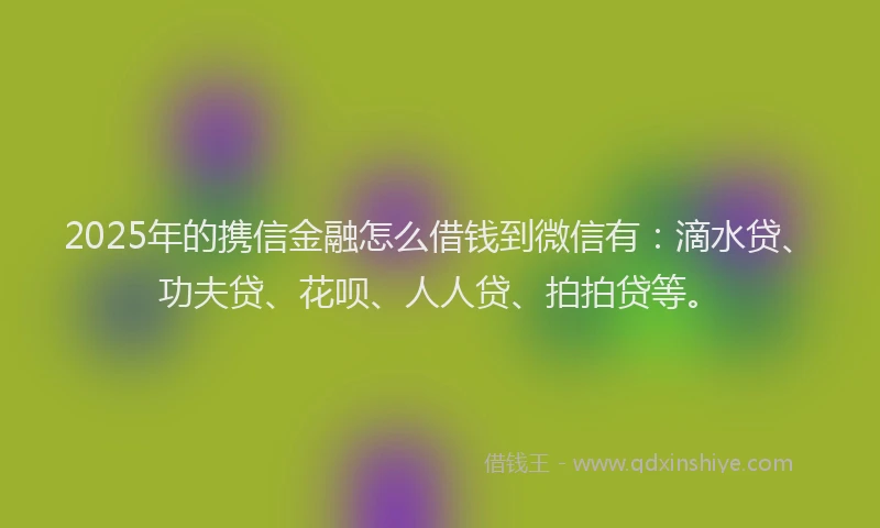 2025年的携信金融怎么借钱到微信有：滴水贷、功夫贷、花呗、人人贷、拍拍贷等。