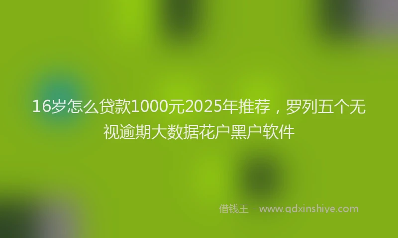 16岁怎么贷款1000元2025年推荐，罗列五个无视逾期大数据花户黑户软件