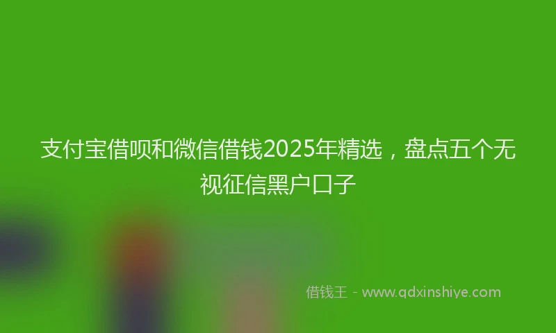 支付宝借呗和微信借钱2025年精选，盘点五个无视征信黑户口子