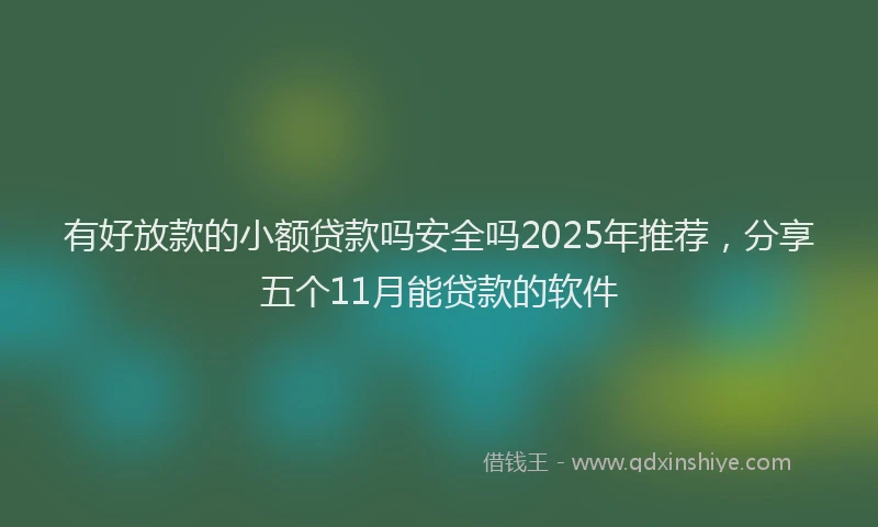 有好放款的小额贷款吗安全吗2025年推荐，分享五个11月能贷款的软件