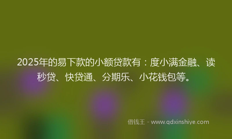 2025年的易下款的小额贷款有：度小满金融、读秒贷、快贷通、分期乐、小花钱包等。