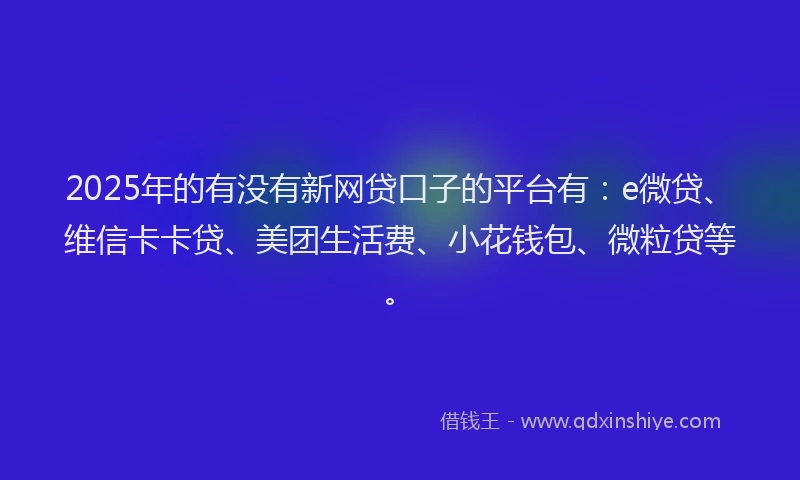 2025年的有没有新网贷口子的平台有：e微贷、维信卡卡贷、美团生活费、小花钱包、微粒贷等。