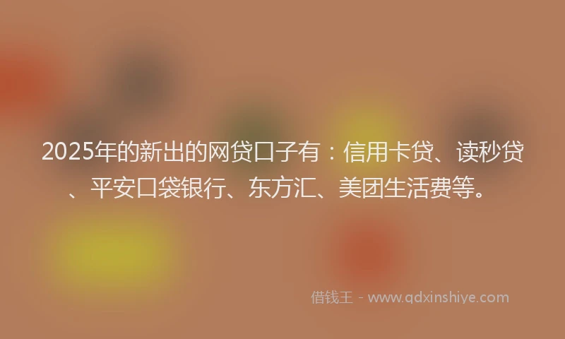 2025年的新出的网贷口子有：信用卡贷、读秒贷、平安口袋银行、东方汇、美团生活费等。