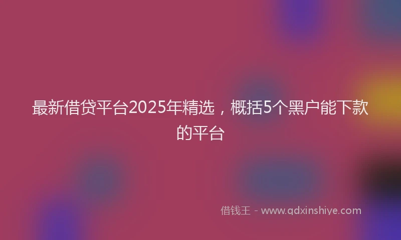 最新借贷平台2025年精选，概括5个黑户能下款的平台