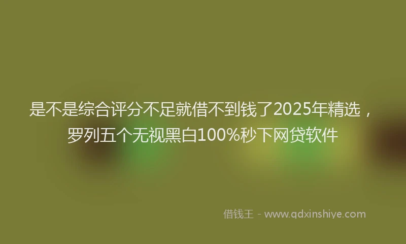 是不是综合评分不足就借不到钱了2025年精选，罗列五个无视黑白100%秒下网贷软件