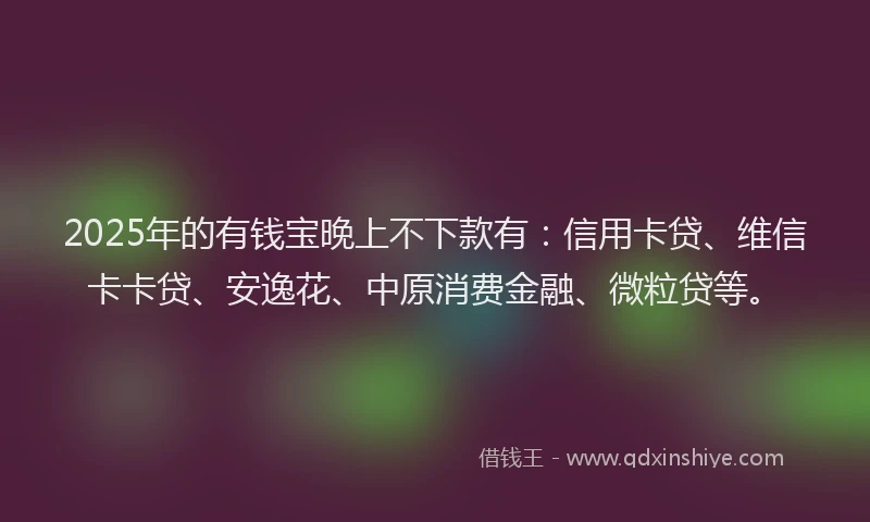 2025年的有钱宝晚上不下款有：信用卡贷、维信卡卡贷、安逸花、中原消费金融、微粒贷等。