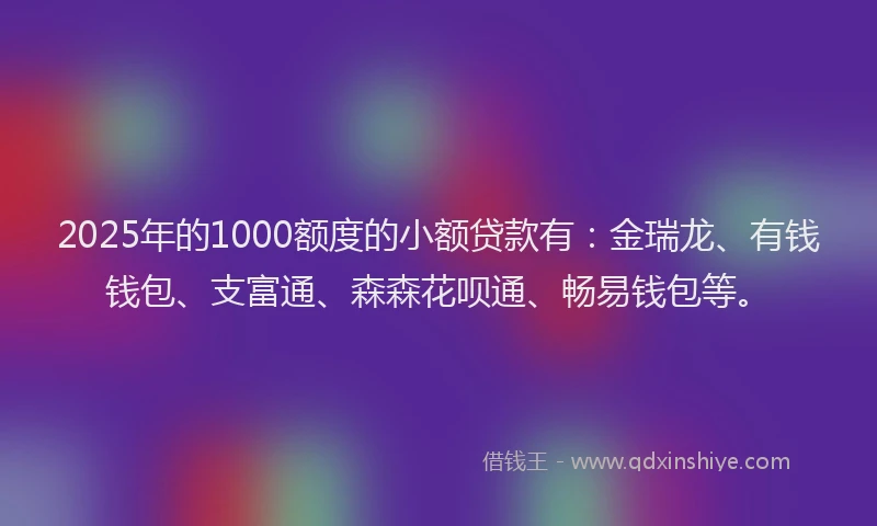 2025年的1000额度的小额贷款有：金瑞龙、有钱钱包、支富通、森森花呗通、畅易钱包等。