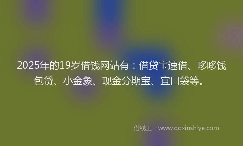 2025年的19岁借钱网站有：借贷宝速借、哆哆钱包贷、小金象、现金分期宝、宜口袋等。