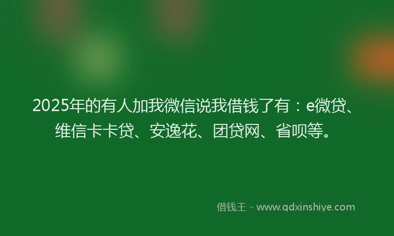 2025年的有人加我微信说我借钱了有：e微贷、维信卡卡贷、安逸花、团贷网、省呗等。