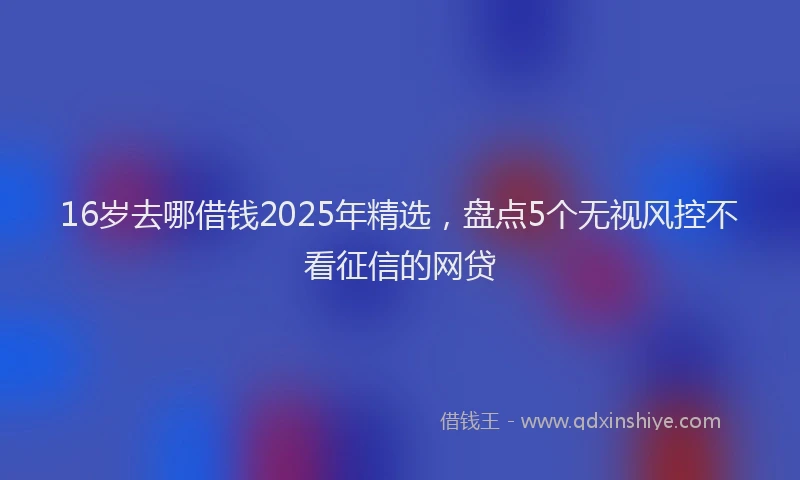 16岁去哪借钱2025年精选，盘点5个无视风控不看征信的网贷