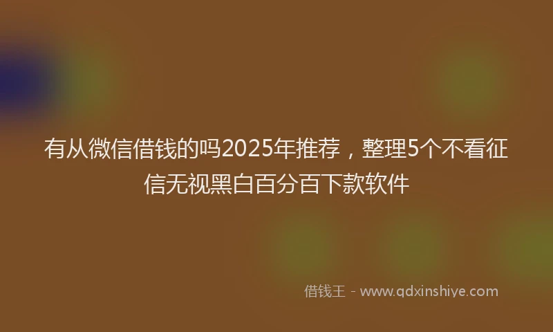 有从微信借钱的吗2025年推荐，整理5个不看征信无视黑白百分百下款软件